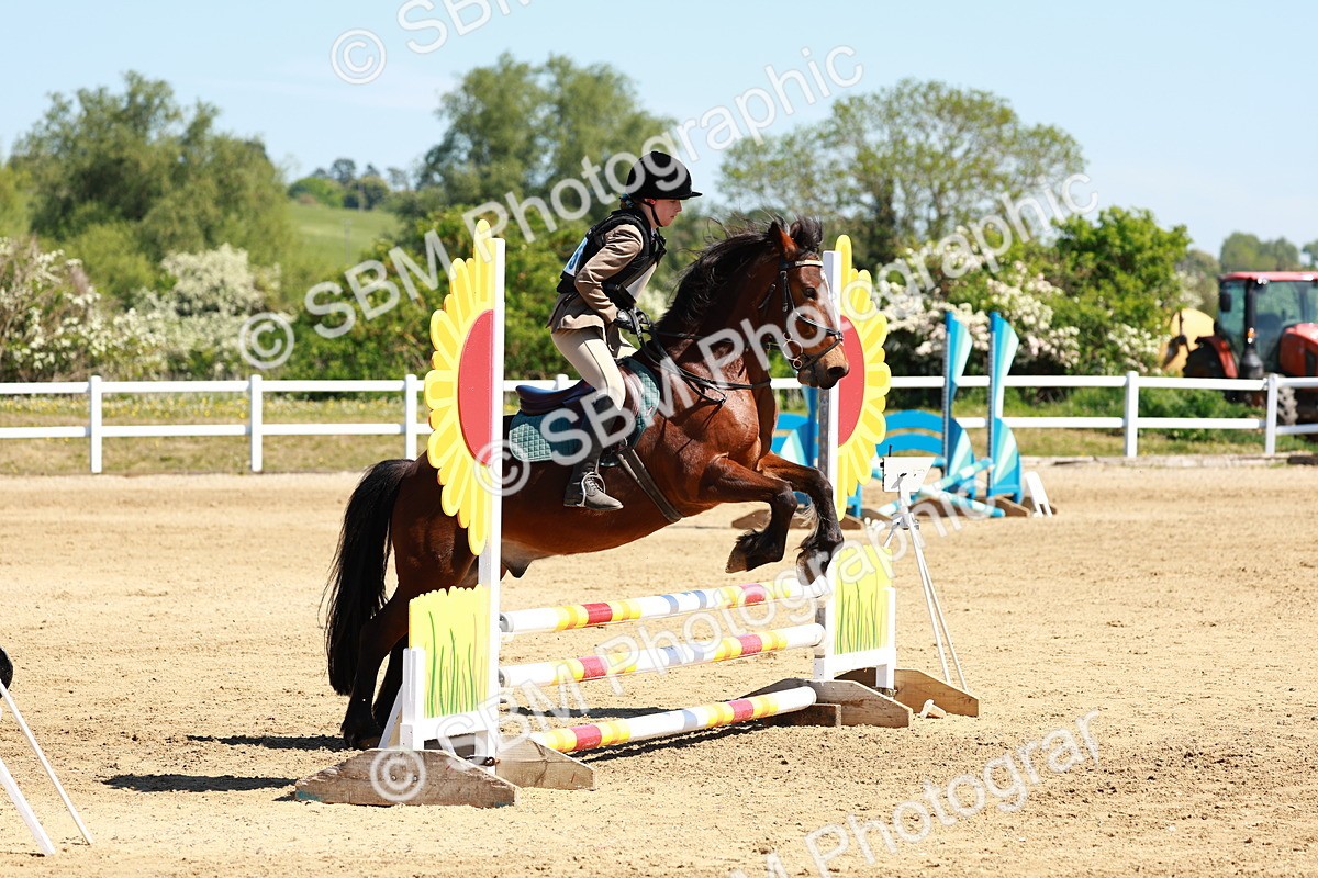 SBM_007116 - Class 3 - 60cm