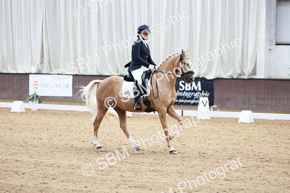SBM_017295 - Class15 - FEI Pony