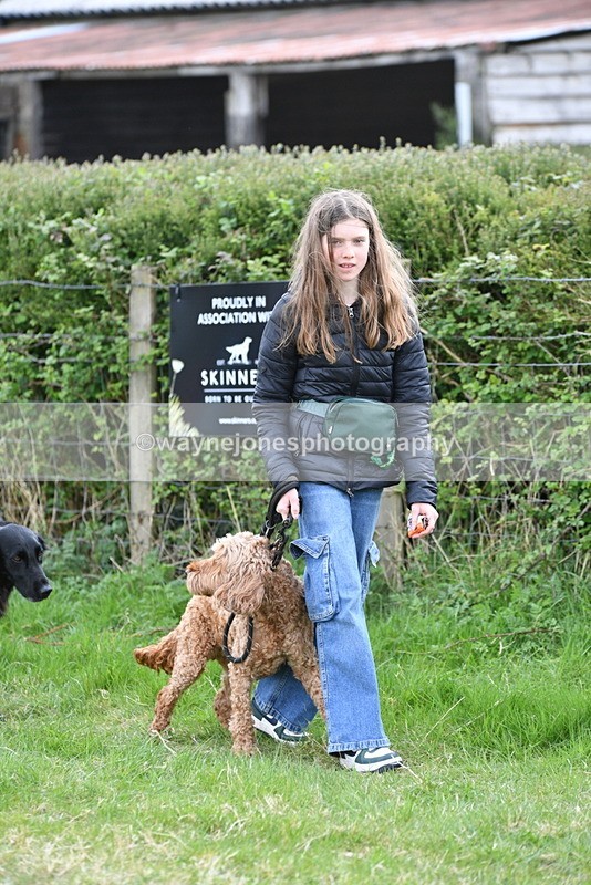 WJ5_9079 - Class 1 Best Cross Breed / Heniz 57