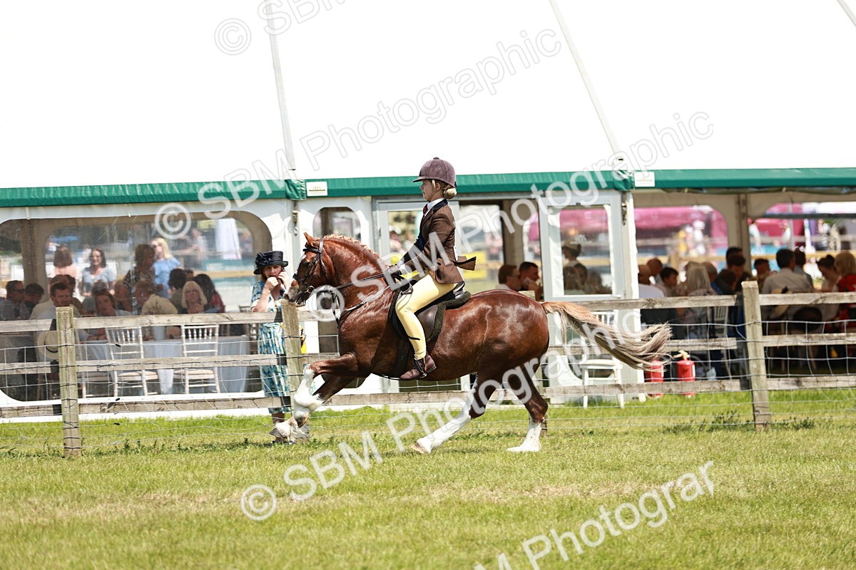 SBM_15797 - Class 108-109 - BSPS LIHS Open Gradle & Nursery Stakes