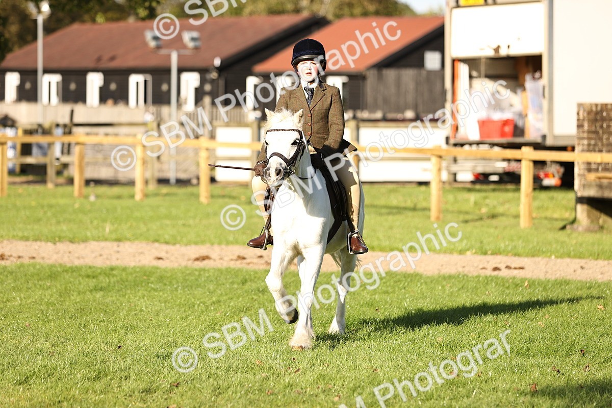 SBM_29451 - S7 - Novice & Newcomers Ridden Pony