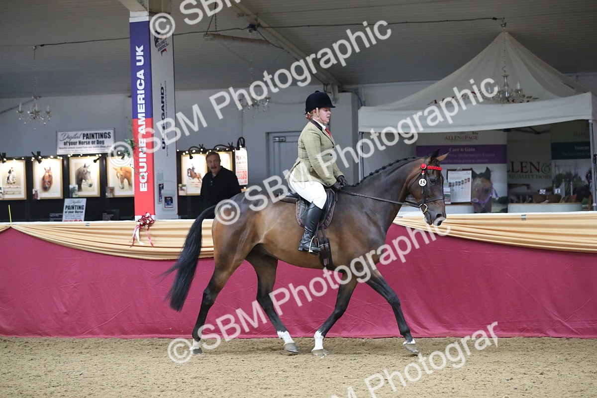 SBM_12314 - Class 108 Ridden Retired Racehorse- Pre Judging