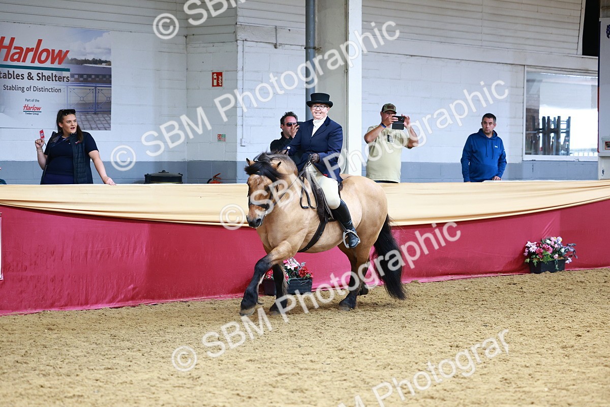 SBM_23784 - Class 905 - Supreme Final - Ridden Veteran