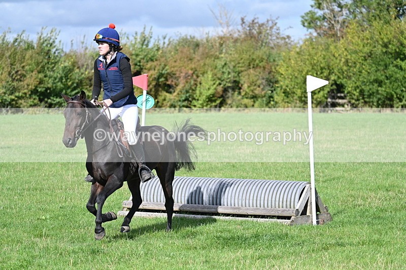 WJ7_8508 - 60cm Pairs