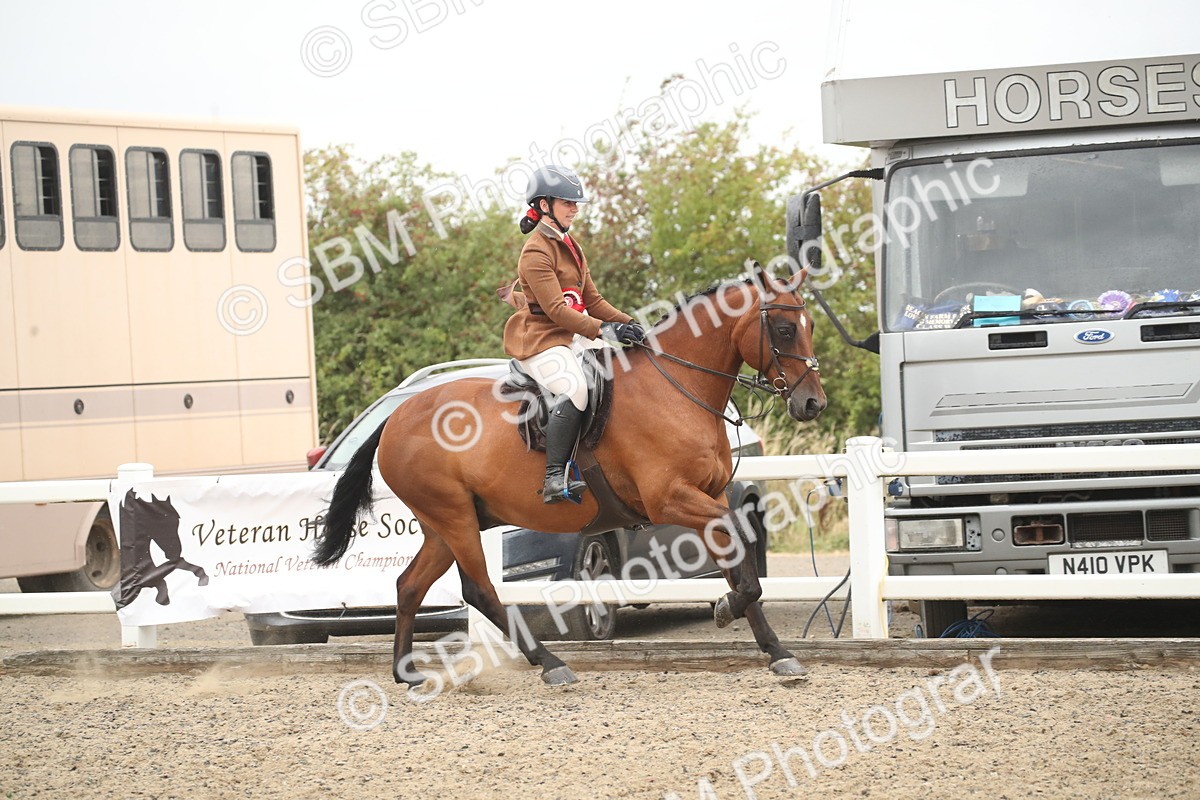 SBM_18426 - Class 509B - Working Veteran - 80cm (20+)