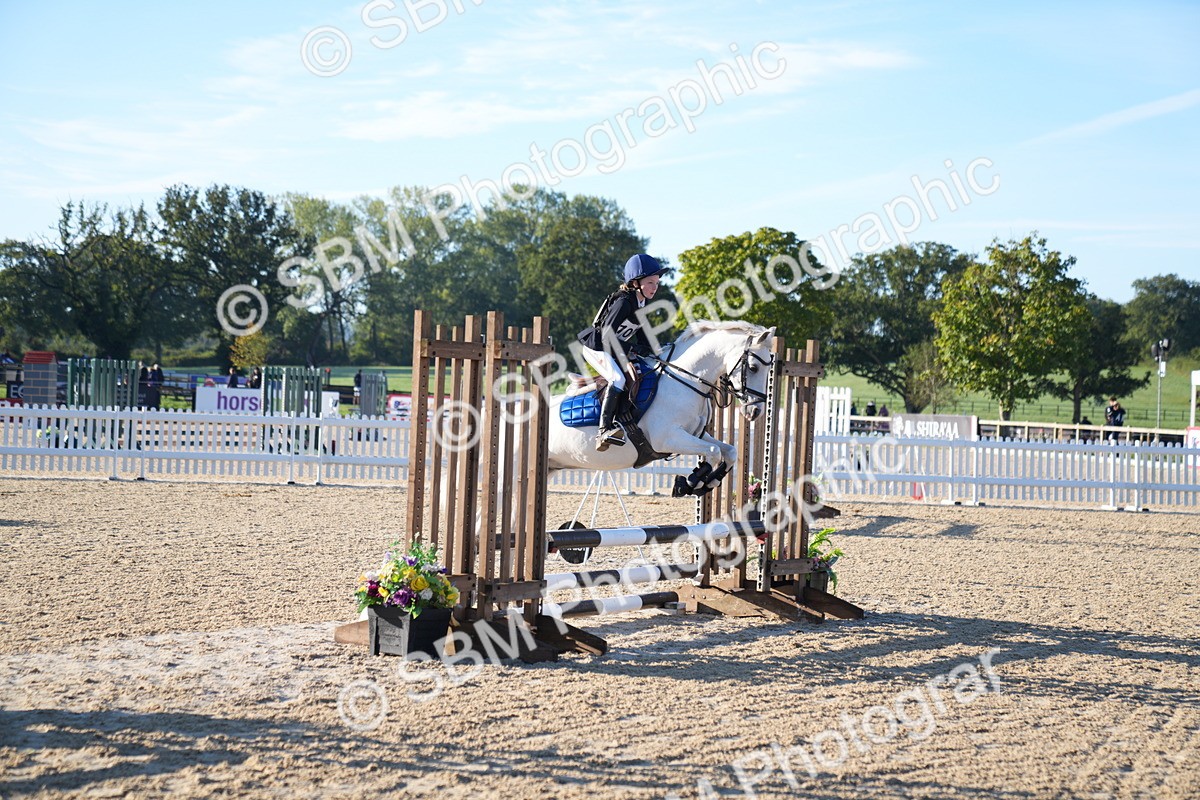 SBM_14010 - J59 - Clear Round - 65cm