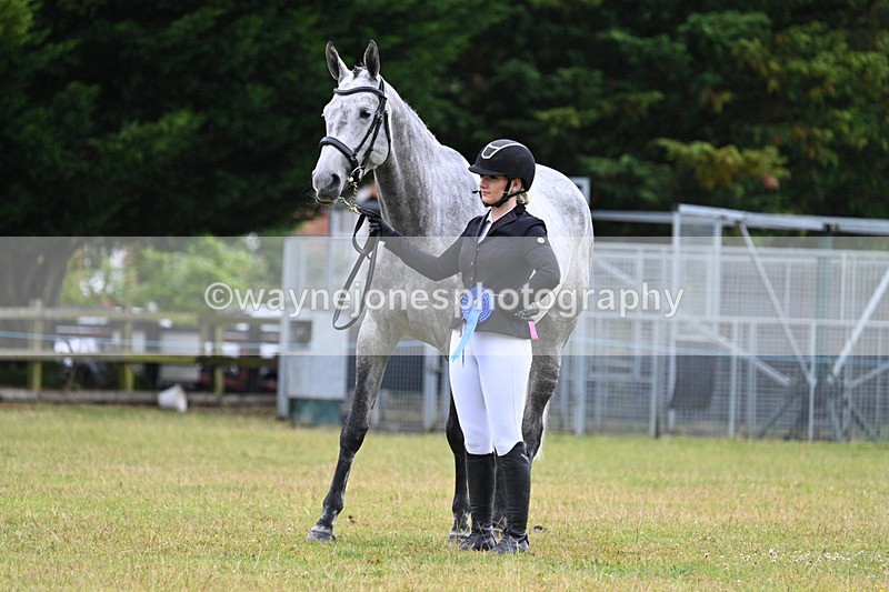 WJ7_6411 - Class 4a Prettiest Mare over 14hh