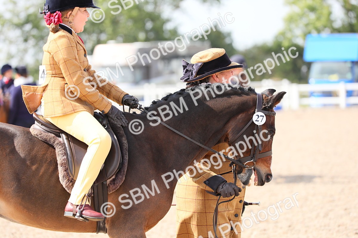 SBM_14044 - Class 309 Lead Rein Pony