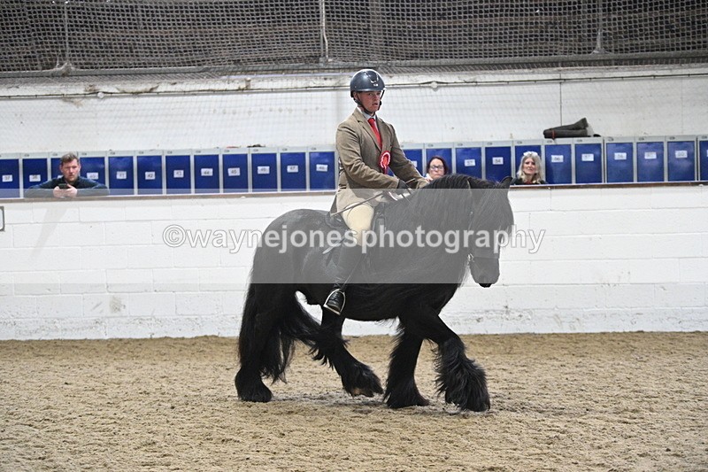 WJ7_4539 - Afternoon Champs