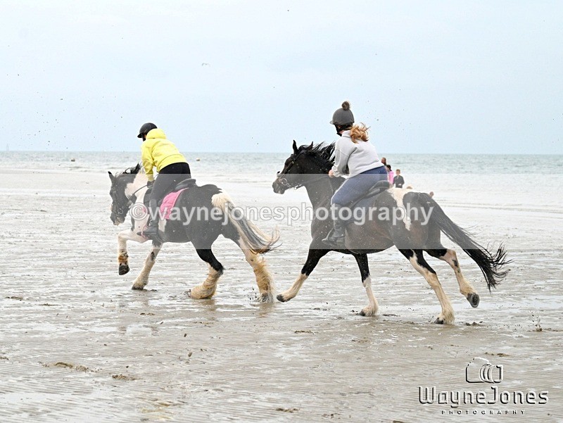 WJ7_9156 - Hayling Island Beach Shoot 22-09-24