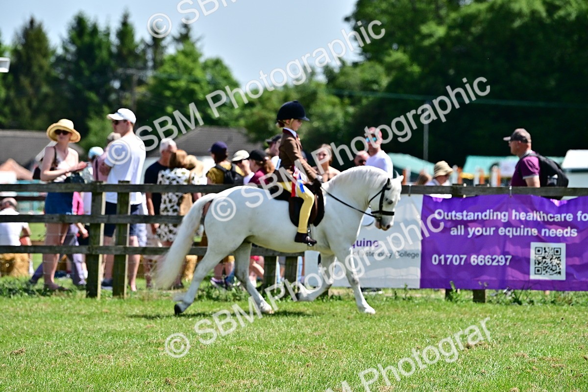 SBM_06463 - Class 59-60 - TSR M&M  Lear Rein and First Ridden Amateur of the year