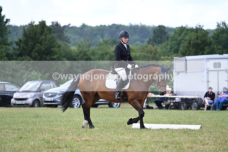 WJ7_5345 - Time 11:22 to 11:51