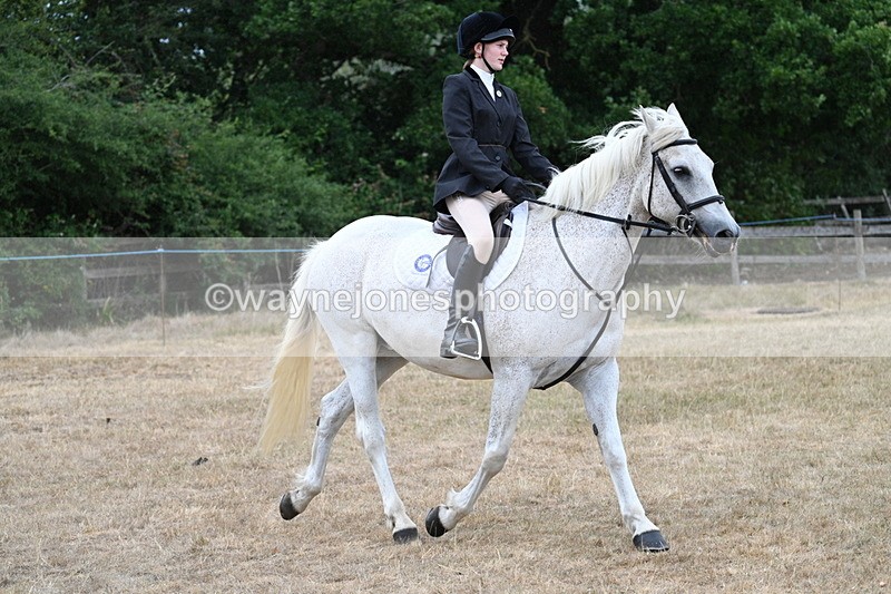 WJ7_0947 - Class 7 Riding Club Show Horse