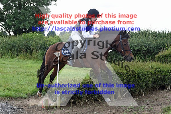 SNCP_0243 - S Group