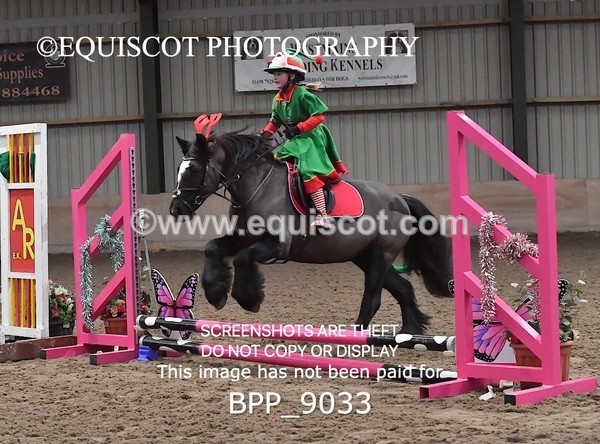 BPP_9033 - CLASS 3 50CM-70CM Pairs Show Jumping