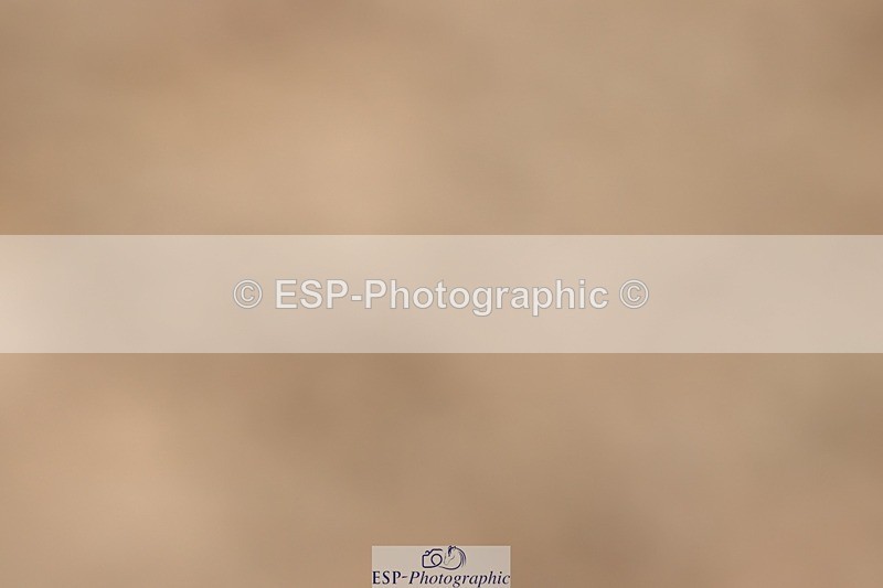 250622-101724-13650 - Cls 45 Prelim 6, 9.50 to End