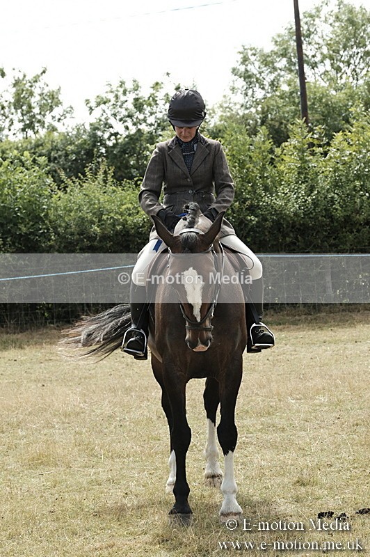 _PJP6071 - BVRC Show 2018 Ring 1