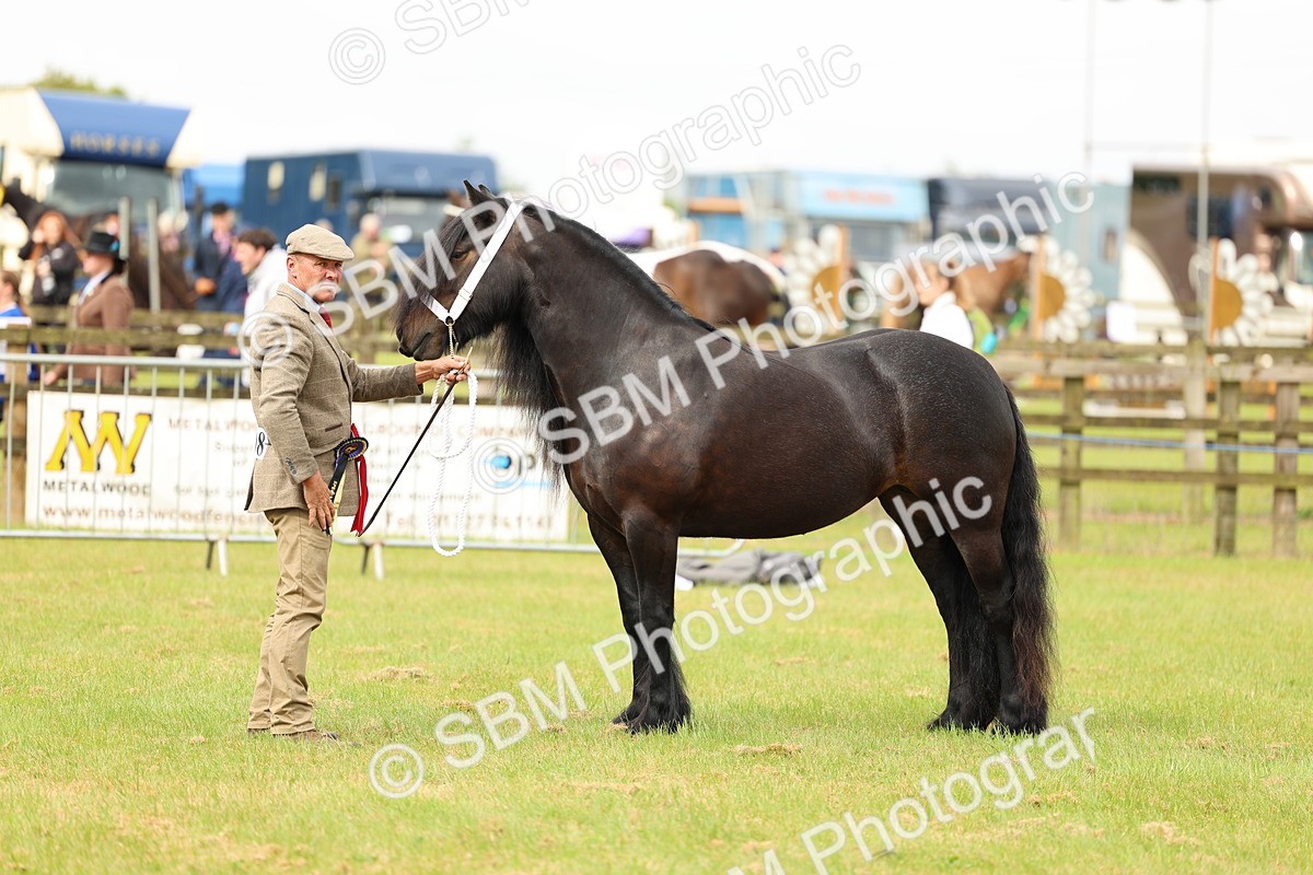 SBM_00609 - Class 58-67 - M&M Non Welsh Pony In hand