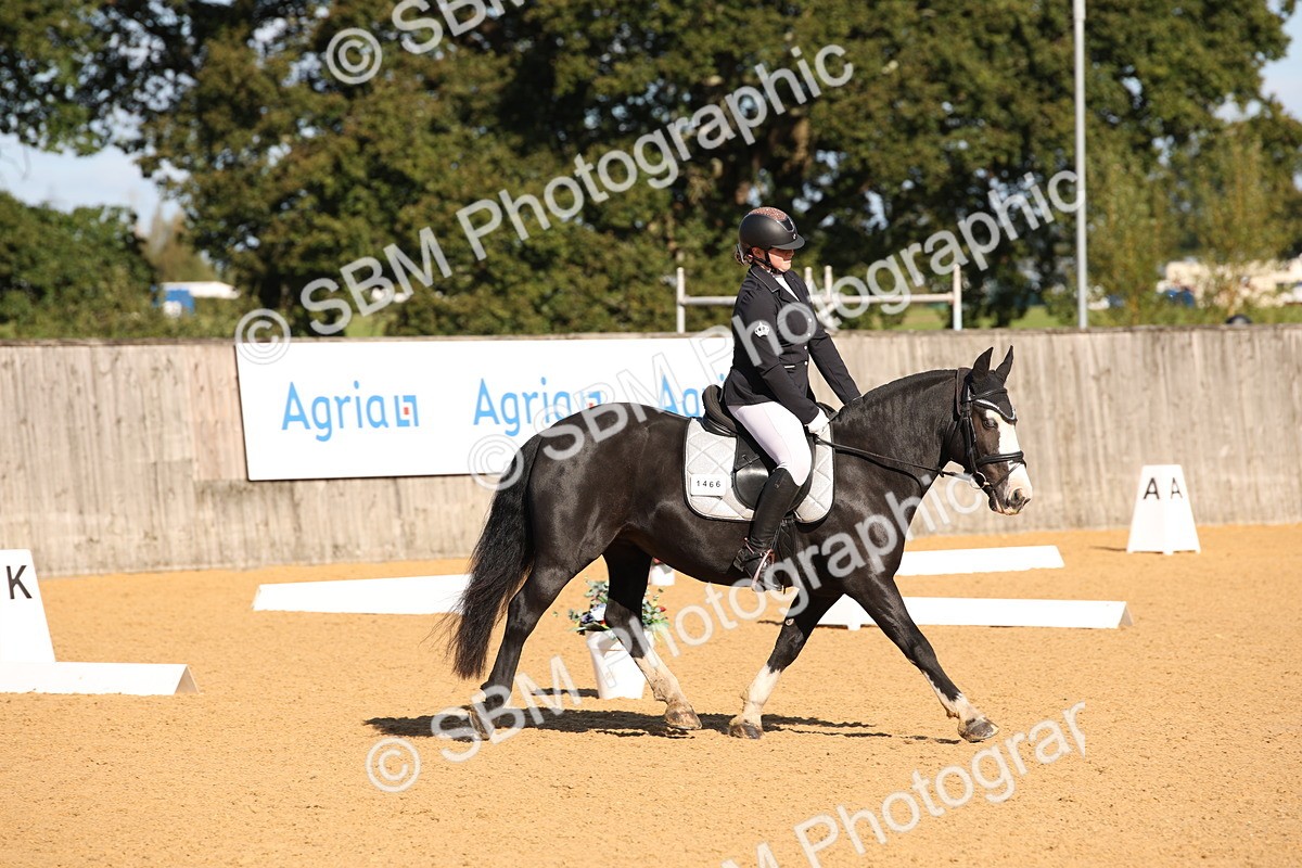 SBM_01924 - D2 Small Tour Championship Intro C
