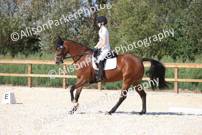 20260905-1523 - Class 5 - Novice 2