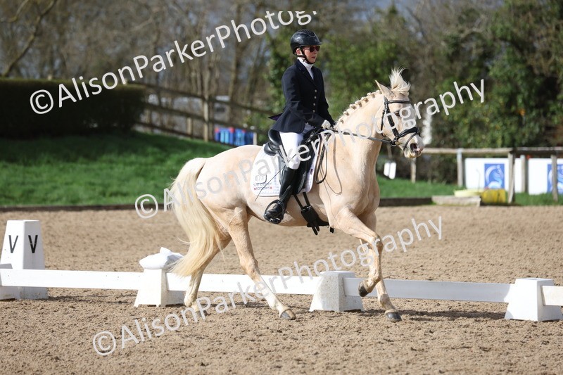 20260301-0642 - Class 4 - Novice 5