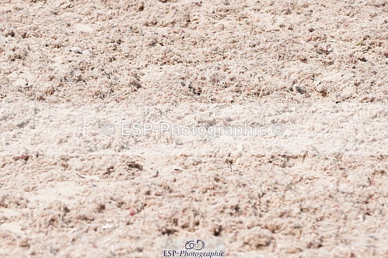 250503-115710-00699 - Cls 21+22 Club and Schools 80cm