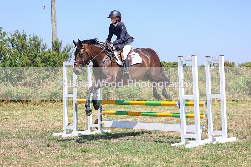 3E7A4444 - Class 10: Senior British Novice/90cm open