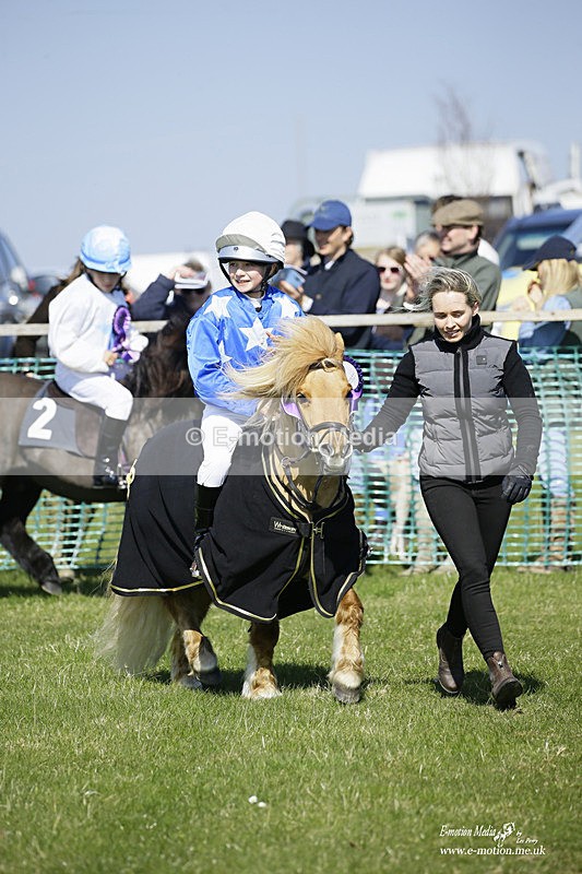 PtP 190322 117 - Wilton Hunt PtP Milborne St Andrew 19/03/22