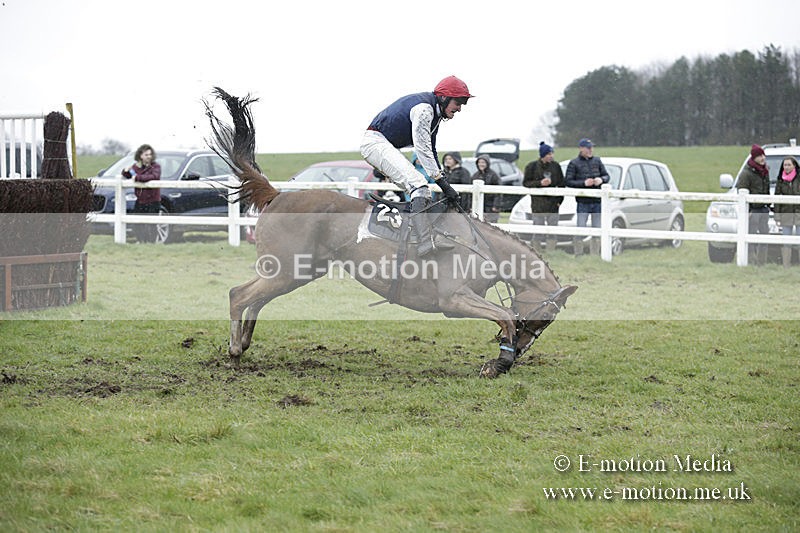 PtP 150320 0352 - New Forest Point-to-Point Larkhill 15/03/20