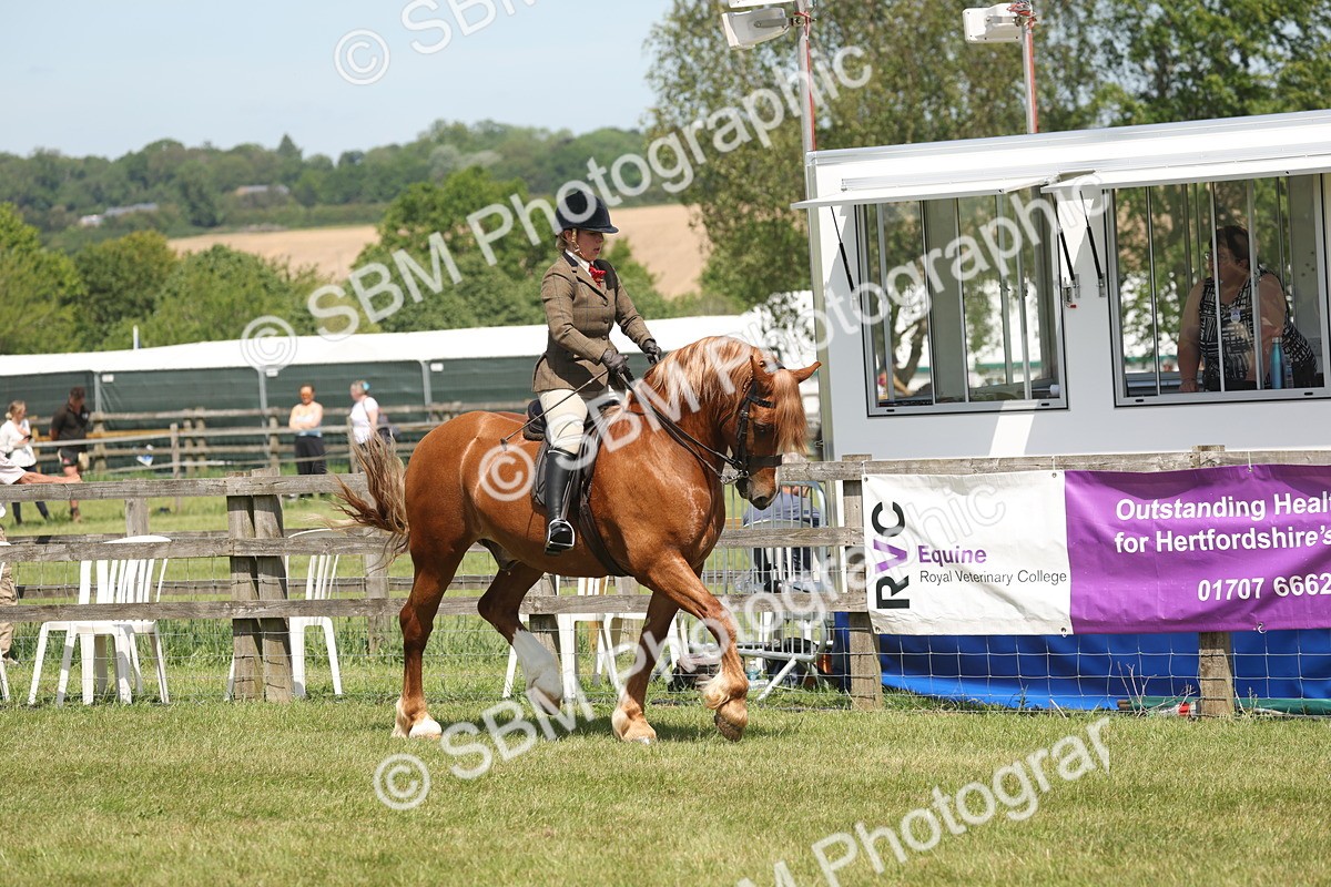 SBM_06909 - Class 26-30 - Mountain and Moorland Ridden