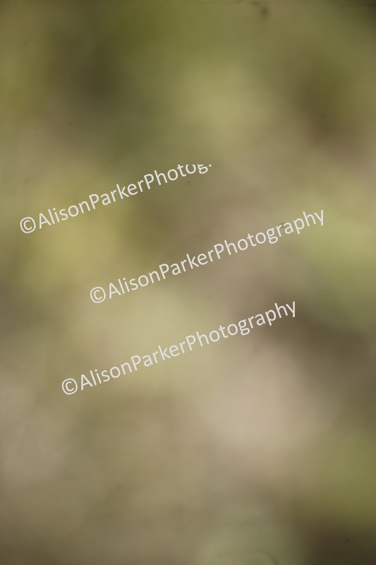 20250831-2300 - Class 5 - 90cm