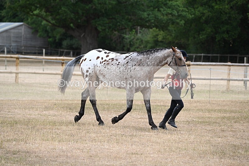 WJ6_8529 - Class 10 Coloured in Hand