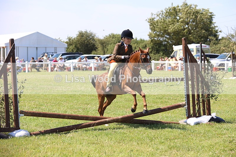 JPP_2241 - Class 20: Tiny Tots Working Hunter Pony