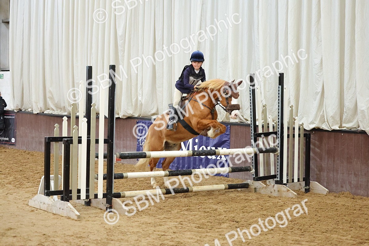 SBM_001796 - Class 5 - Show Jumping 80cm