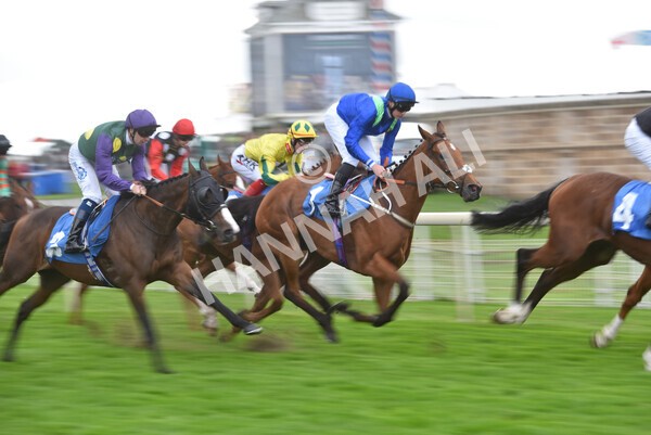 yr24092021r6-13 - Race 6 4.25pm William Hill Pick Your Places Stakes
