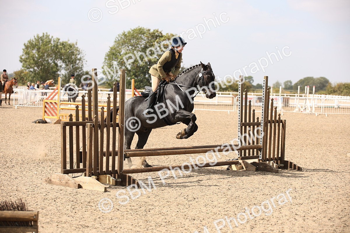 SBM_14325 - Class 407b - Working Veteran 60cm (20+)