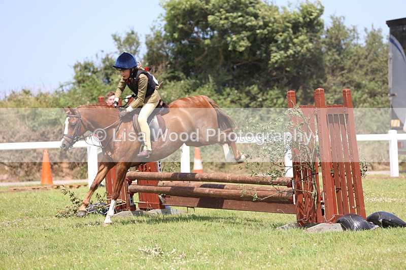 JPP_2517 - Class 21: Working Hunter 60cm