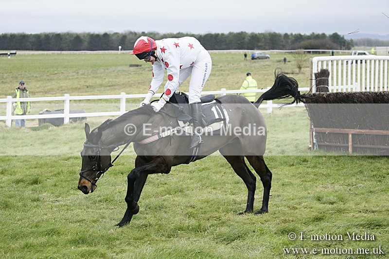 PtP 031217 33 - Hursley Hambledon Point-to-Point Larkhill 03/12/17