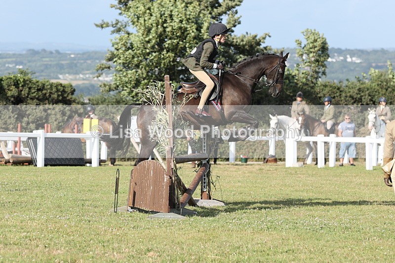 JPP_3248 - Class 21: Working Hunter 80cm