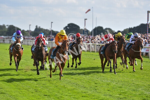 yr20082022r6-20 - Race 6 4.45 pm Julia Graves Roses Stakes
