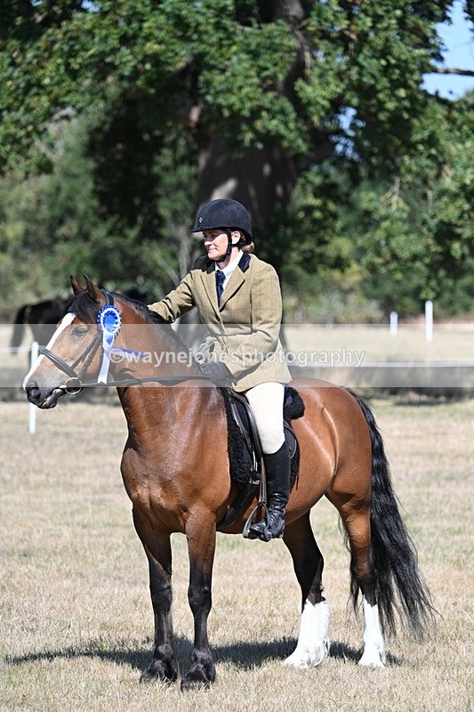 WJ7_4148 - Class 9 Mountain & Moorland Ridden
