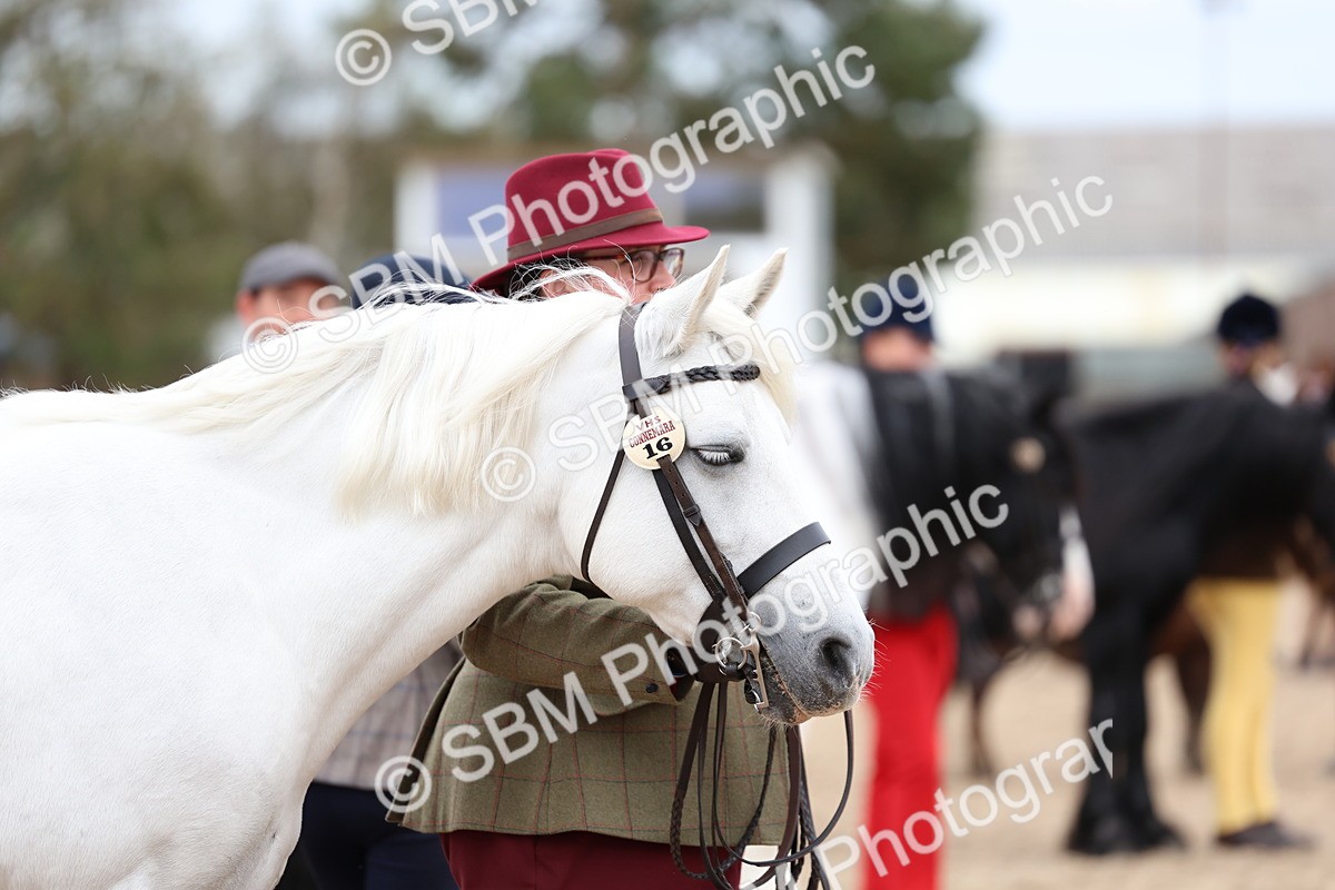 SBM_05957 - Class 29 - IH Veteran Pony