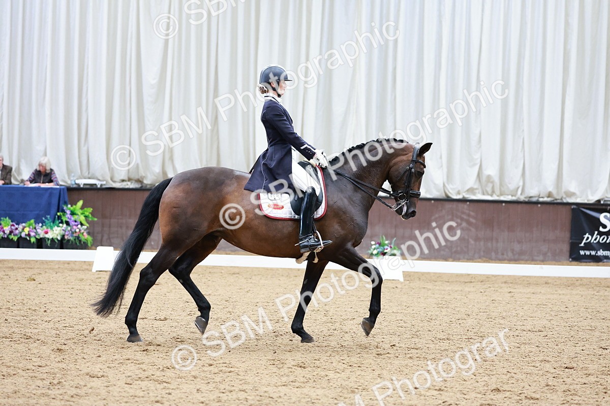 SBM_012503 - Class 3 - FEI PSG - 10.43-11.39