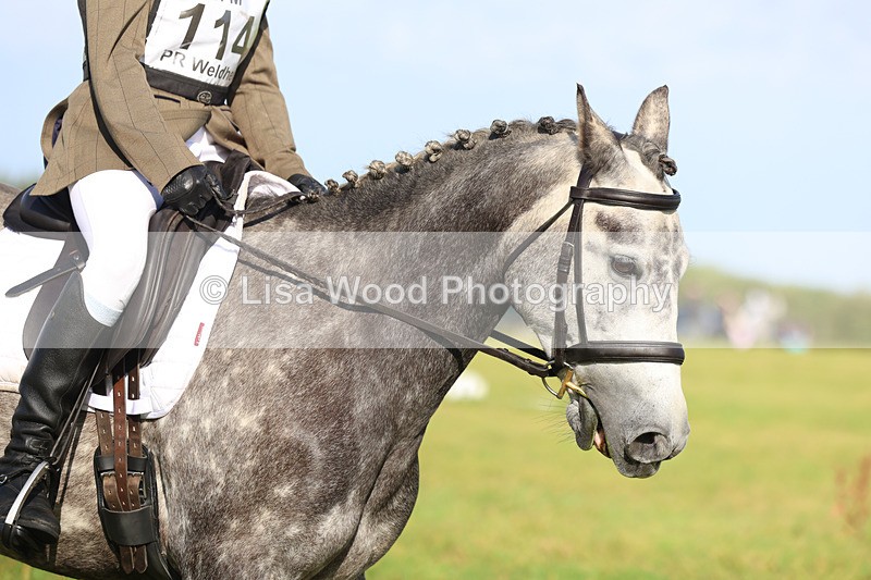 3E7A5732 - Class 1: Trebudannon Open: Dressage (Part 2)