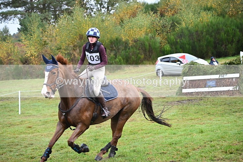 WJ6_1681 - 80cm Cam 1 Time 10:08 to 10:45