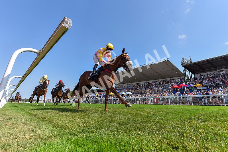 130826-Race 3-State Of Gold-5120 - Race 3 15.15pm Hornsea Ladies At The Races Nursery Handicap