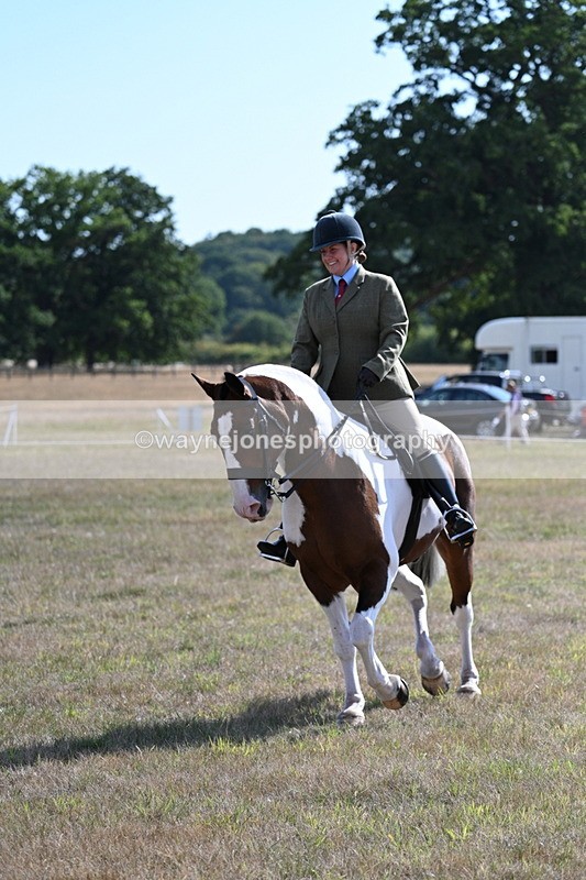 WJ7_2830 - Class 8 Ridden Tack & Turnout