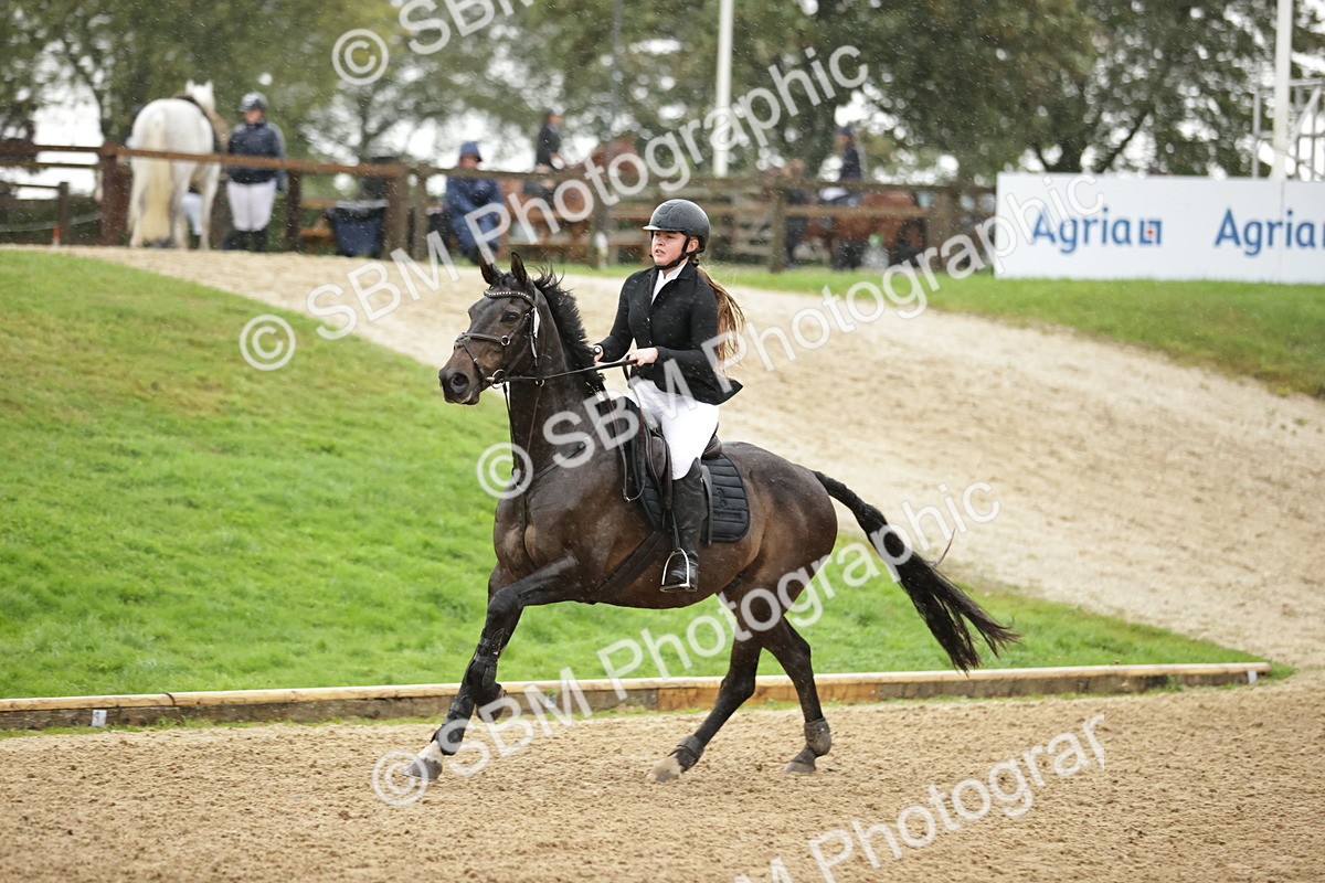 SBM_33153_J38 Senior Horse and Pony 80cm Championship - Dolcie Mae Ivison