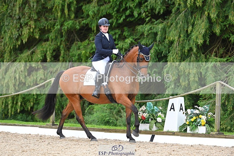 230813-132448-07556 - Cls 13 Medium Bronze 13.15 to End