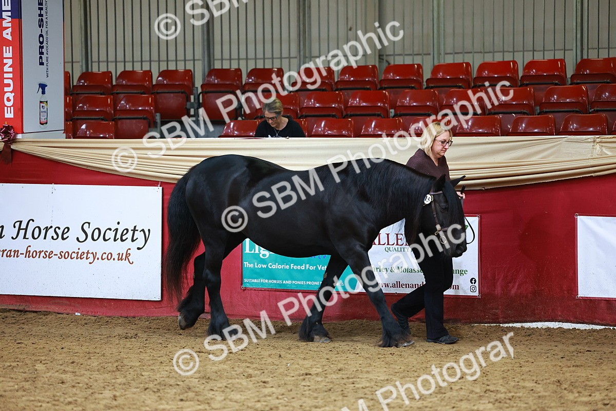 SBM_18387 - Class 903 - Sup Final - IH Pre Vet